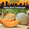 Hales Best Cantaloupe Organic Seeds 2 Hales Best Cantaloupe Organic Seeds -Deals Seed N Tools Store 8611872 02v hales best cantaloupe organic seeds