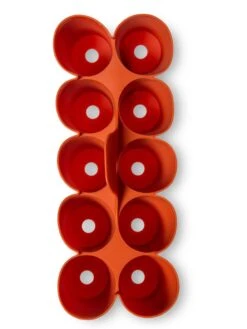 Sili-Seedlings® Seedling Tray, 10-Cell -Deals Seed N Tools Store 8611886 3821 tif