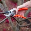 Castellari Ergonomic Anvil Pruner 1 Castellari Ergonomic Anvil Pruner -Deals Seed N Tools Store 8611969 009 tif