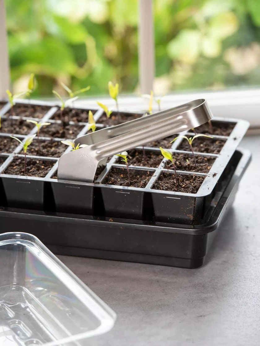 Seedling Transplant Tongs 4 Seedling Transplant Tongs - Image 2