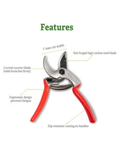 Castellari Mini Anvil Pruner 12 Castellari Mini Anvil Pruner -Deals Seed N Tools Store 8612199 5