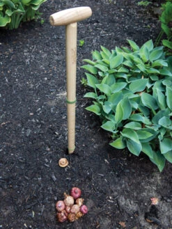 Wicked Big Dibber -Deals Seed N Tools Store 8612667 0028