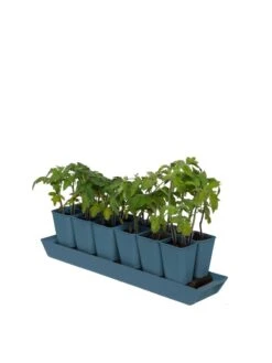 Gardener's Best® XL Seed Starting Kit -Deals Seed N Tools Store 8613066 0029