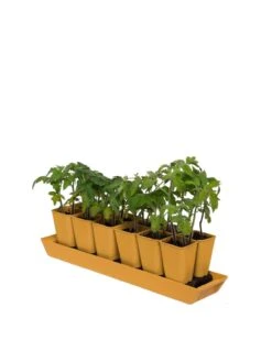 Gardener's Best® XL Seed Starting Kit -Deals Seed N Tools Store 8613066 1029