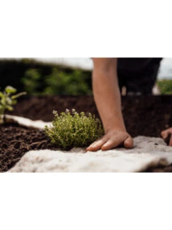 Hortiwool ®, Starter Garden Pad 9 Hortiwool ®, Starter Garden Pad -Deals Seed N Tools Store 8613263 09v