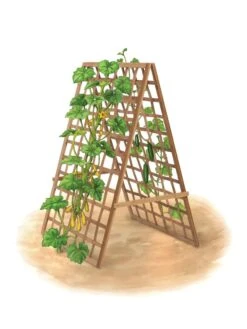 Bambo A Frame Plant Support, 30" X 42.5" 16 Bambo A Frame Plant Support, 30" X 42.5" -Deals Seed N Tools Store 8613310 art flat