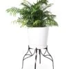 Aubrey Adjustable Plant Stand -Deals Seed N Tools Store 8613454 5716 aubrey adjustable plant stand