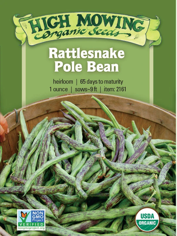 Rattlesnake Pole Bean Organic Seeds 3 Rattlesnake Pole Bean Organic Seeds