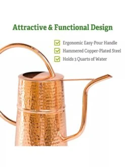 Copper Indoor Watering Can -Deals Seed N Tools Store Copper Watering Can 1