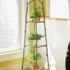 Branch Plant Stand 2 Branch Plant Stand -Deals Seed N Tools Store GS37315 01 tif